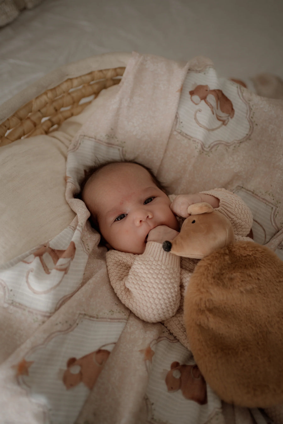 Po Ya Tot - Sweet Squeak Swaddle Wrap