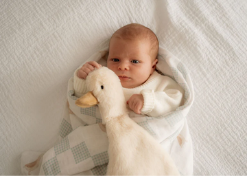 Pop Ya Tot - Waddles the Goose - Comforter Toy