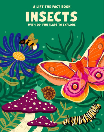 Brumby Sunstate - Insects