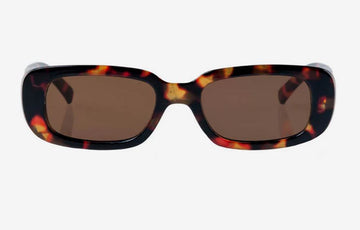 Reality - Xray Specs - Turtle