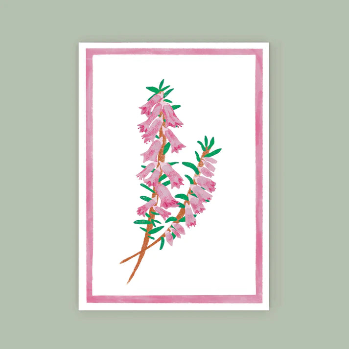 Lauren Sissons - Australian Wild Flower Card - Heath