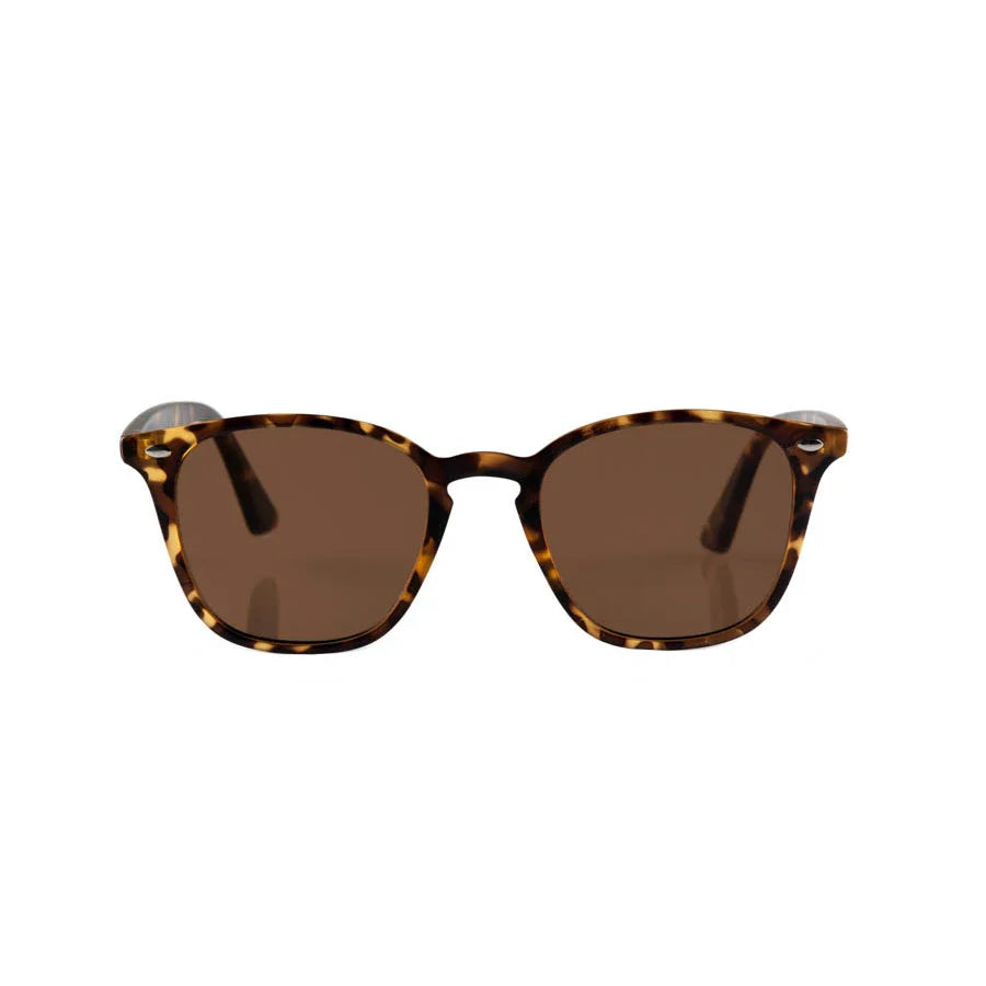 Reality - The Chelsea - Matte Tortoise