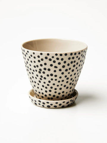 Jones & Co - Pocket Planter Bisque Spot