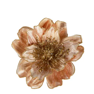 Florabelle - CUSHLA VELVET MAGNOLIA CLIP GOLD